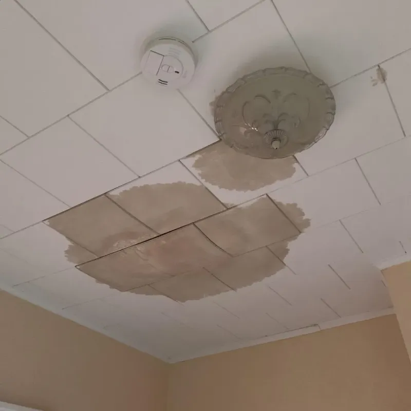 Ceiling Water Damage Repair in North Braddock, PA