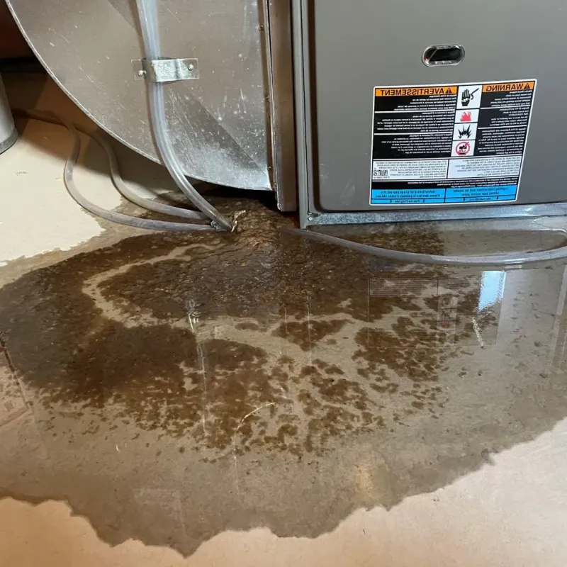 Pipe Burst and Leak Restoration in North Braddock, PA