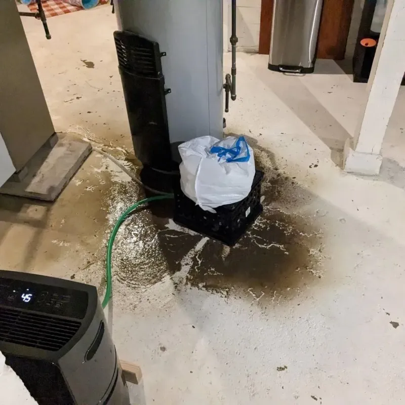 Sewage Backup Cleanup Service in North Braddock, PA